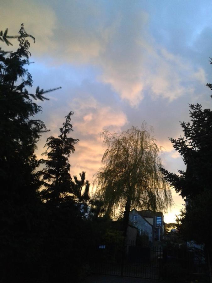Villa Jaskolka Miedzyzdroje Exteriér fotografie